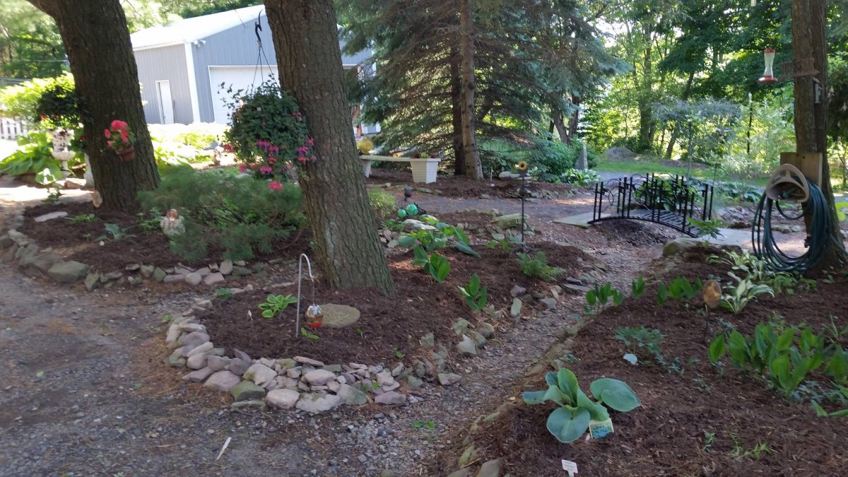 garden8.jpg