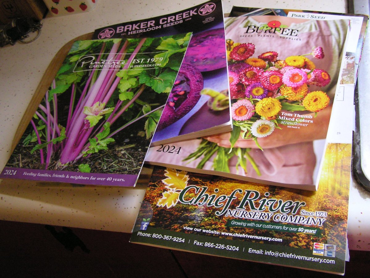 GardenCatalogues.JPG