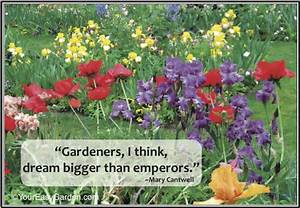 gardendream.jpg