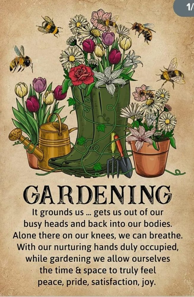 gardening.jpg
