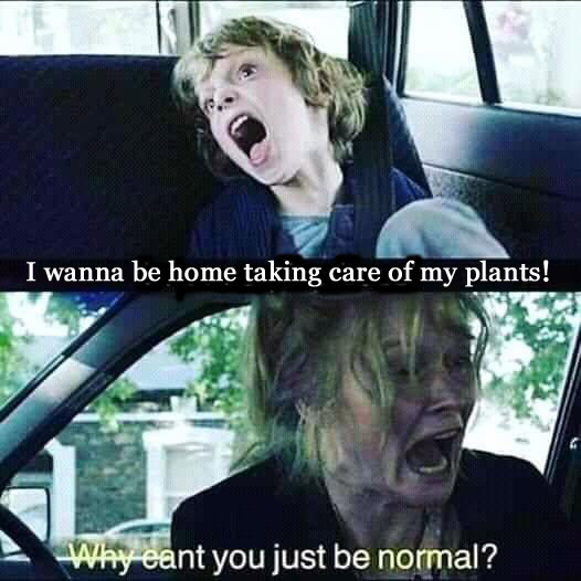 gardening kid copy.jpg