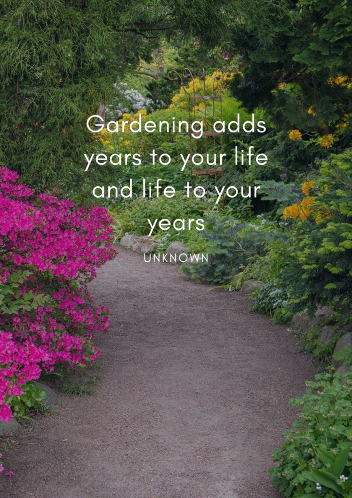 gardening life.jpg