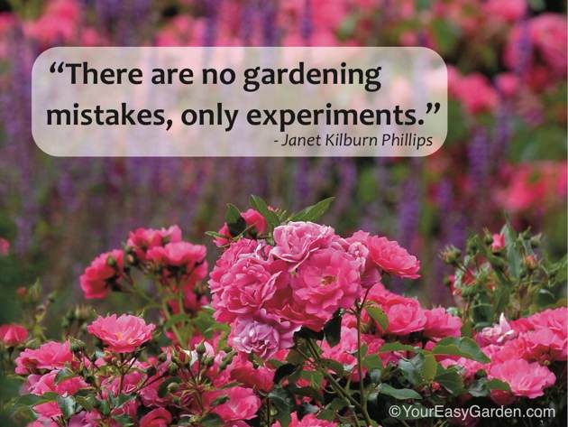 Gardening-Mistakes.jpg