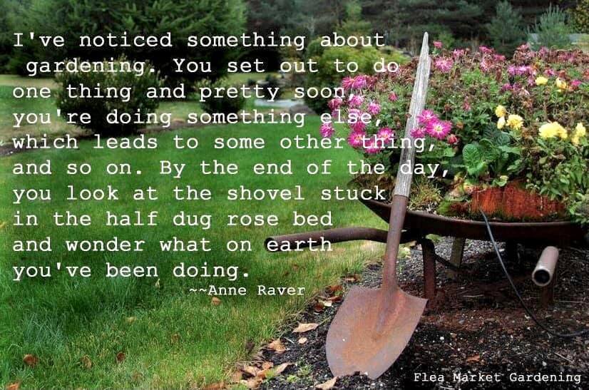 gardening truth.jpg