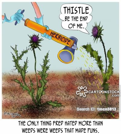 gardening-weed-weeding-thistle-pun-joker-tmcn3813_low.jpg
