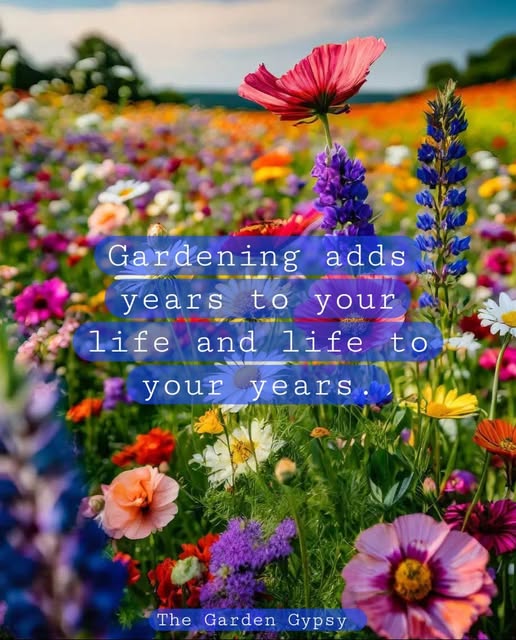 gardening years.jpg