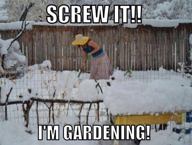 gardenon.jpg