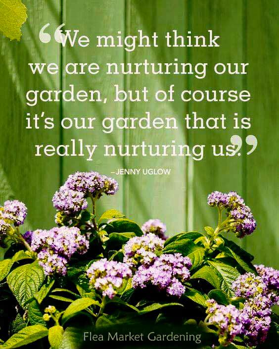 gardens nurture us.jpg