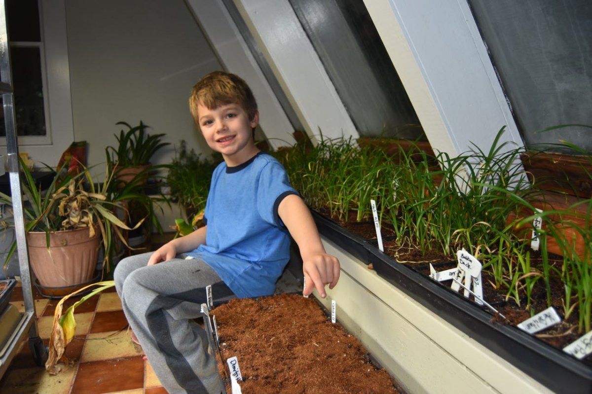 Gav plantin seeds..jpg