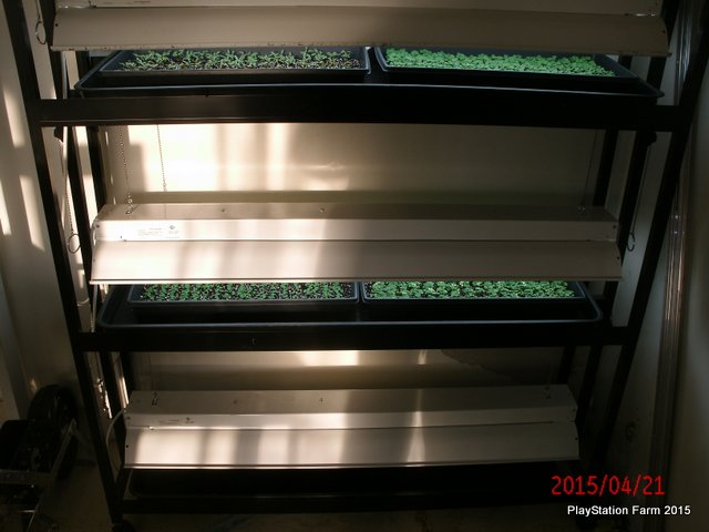 GEDC2078.JPG