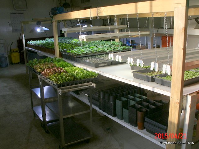 GEDC2080.JPG