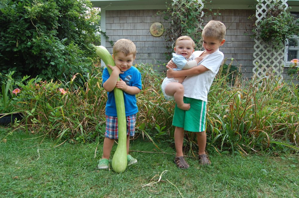 giant squash.jpg