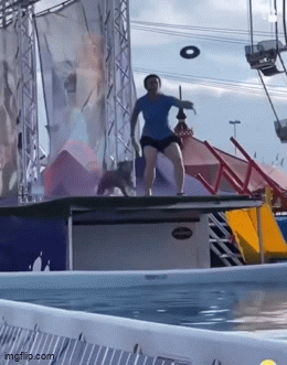gif1.gif