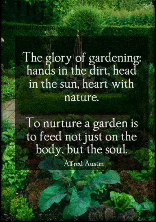 glory of gardening.jpg