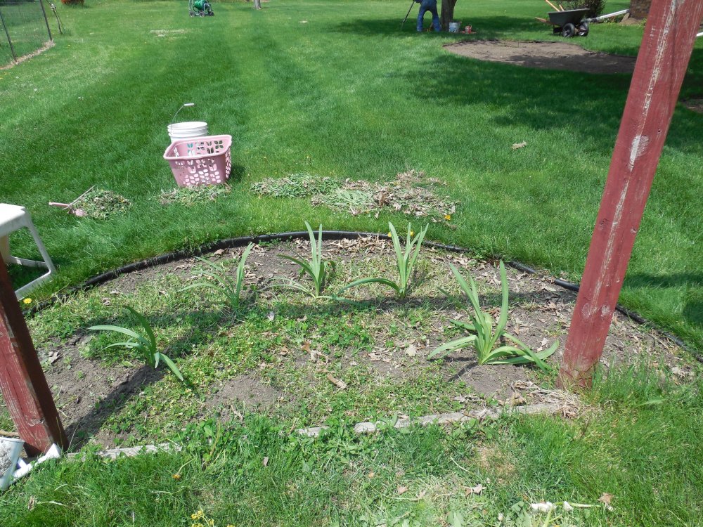 goalpost after.JPG