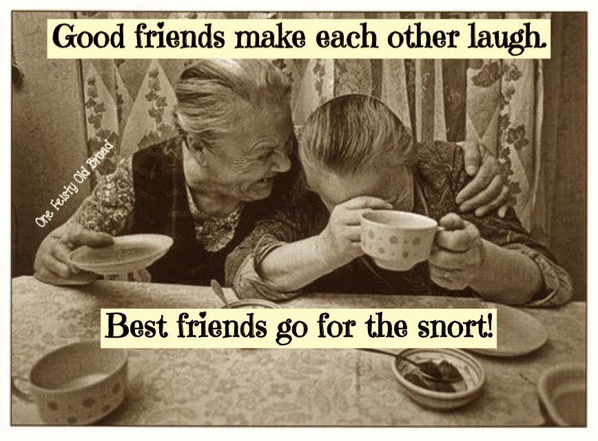 good friends snort.jpg