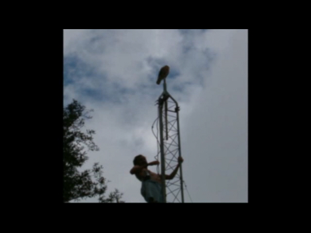 Grabbed Frame 348.jpg