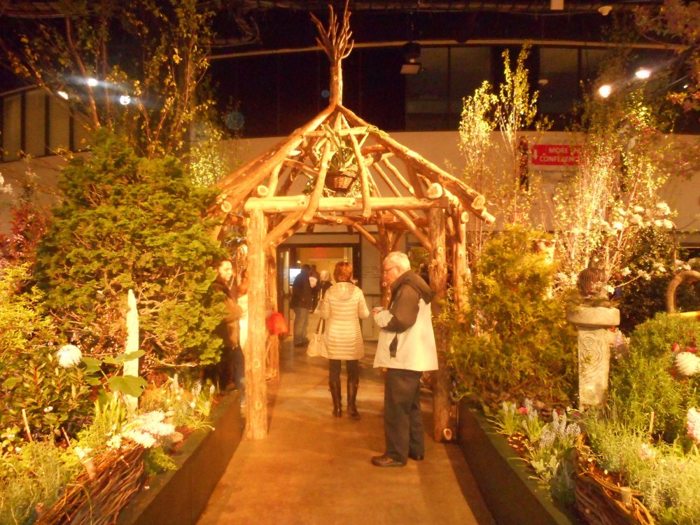grape arbor.jpg