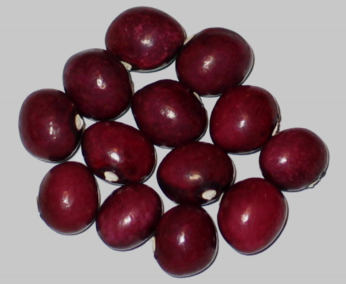 Grape.jpg