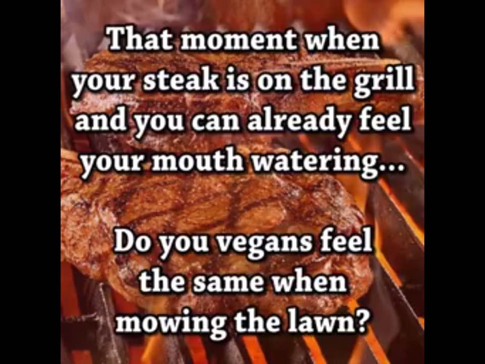 grass to a vegan.jpg