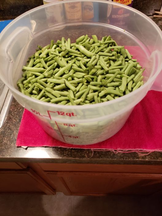 Green Beans Ready To Blanch.jpg