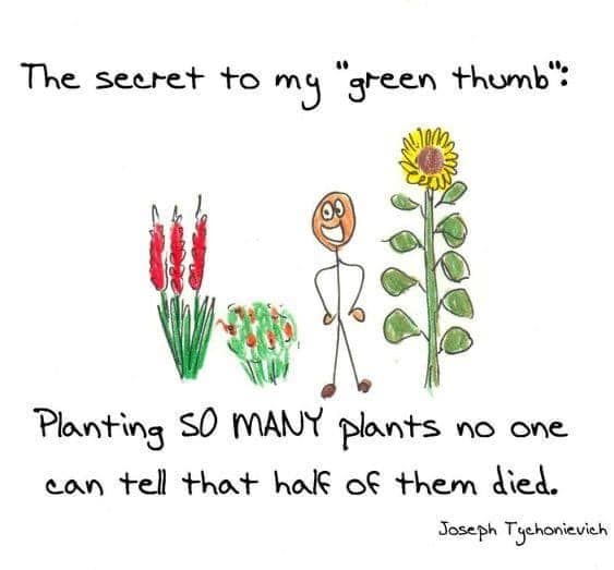 green thumb secret.jpg