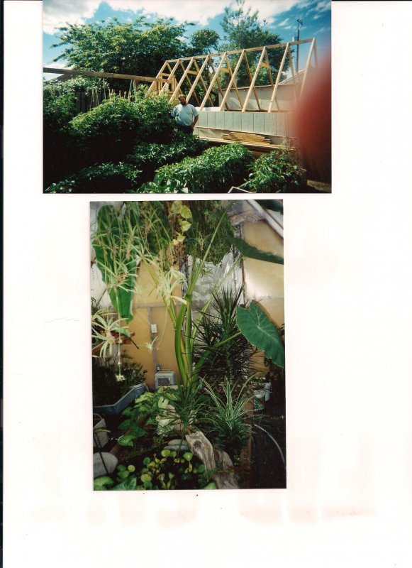 Greenhouse 002.jpg