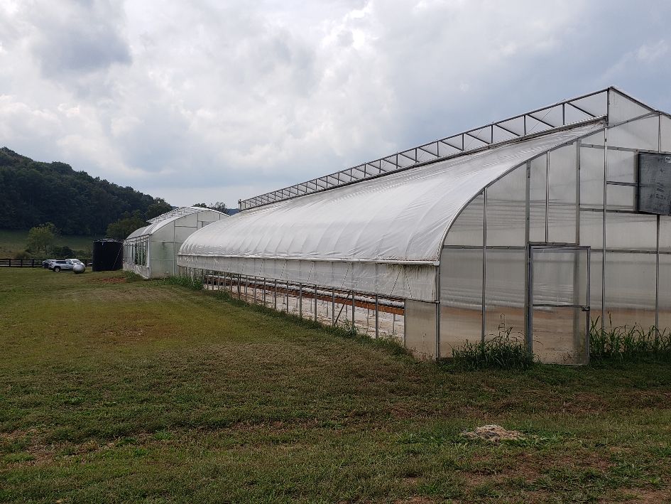 Greenhouse 2.jpg