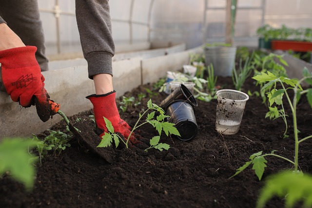 greenhouse-gb5ae64c04_640.jpg