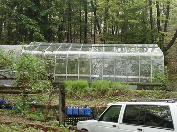 greenhouse.jpg
