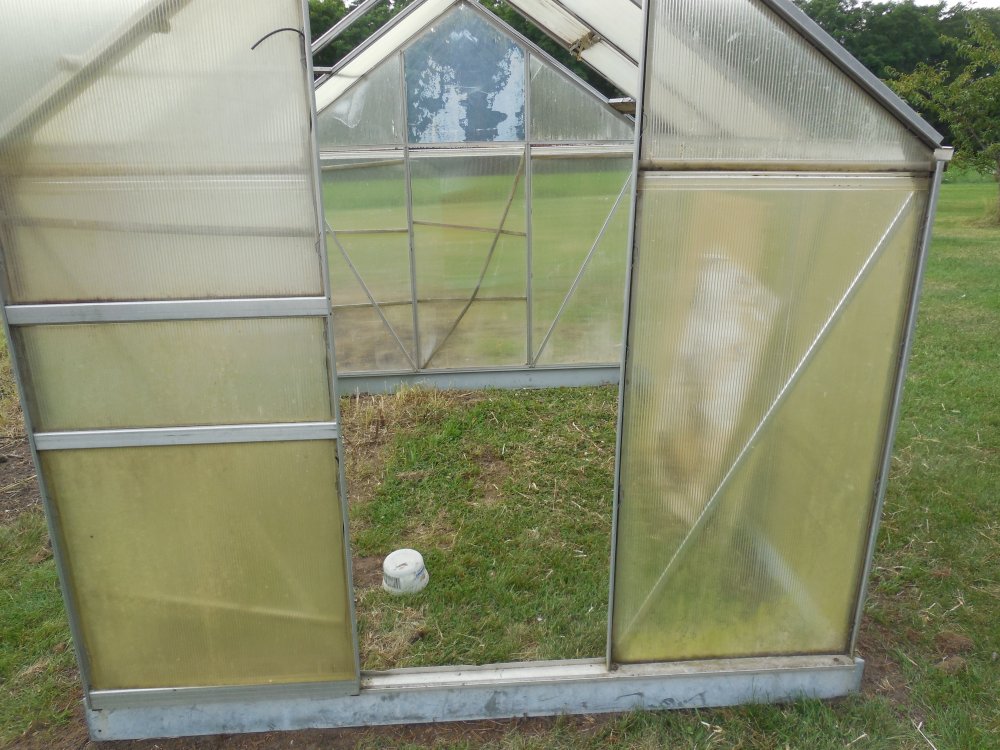 greenhouse .JPG