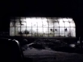 greenhouse1.jpg