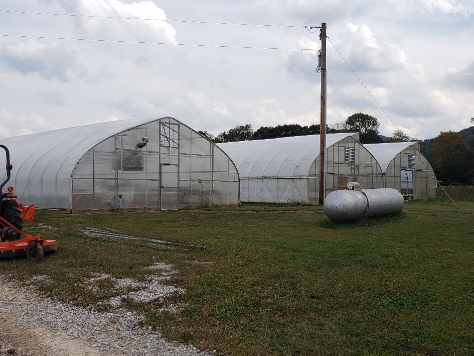 Greenhouses.jpg
