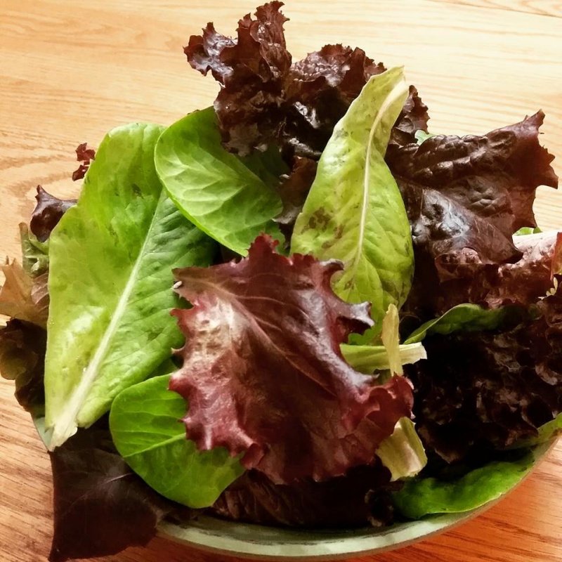 greens.jpg
