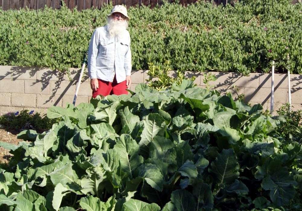 grouch in cabbage patch.JPG