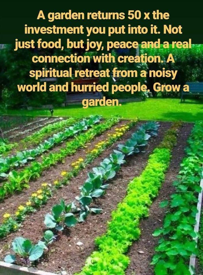 grow a garden.jpg