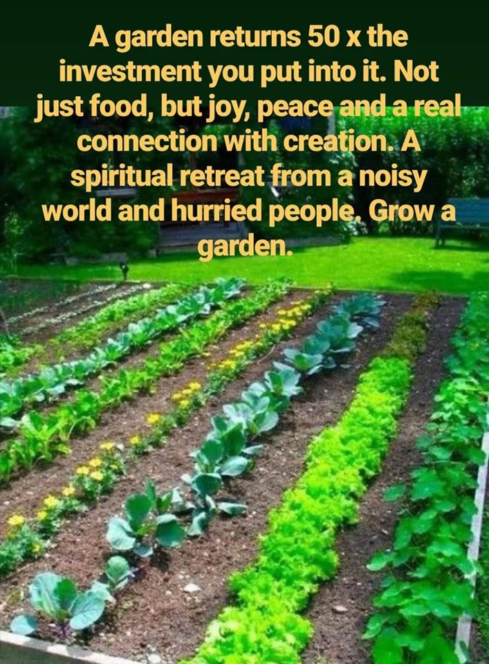 grow a garden.jpg