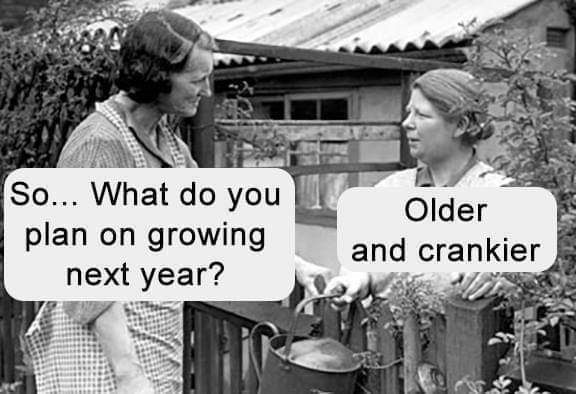 growing next year.jpg