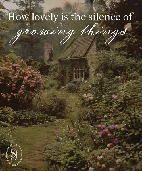 grown silence'.jpg