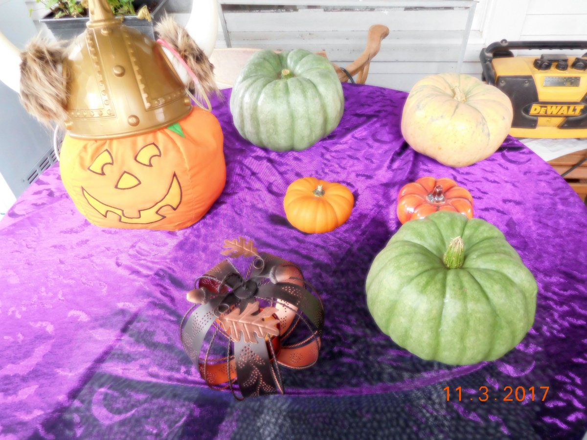 Halloween 2017 display.jpg