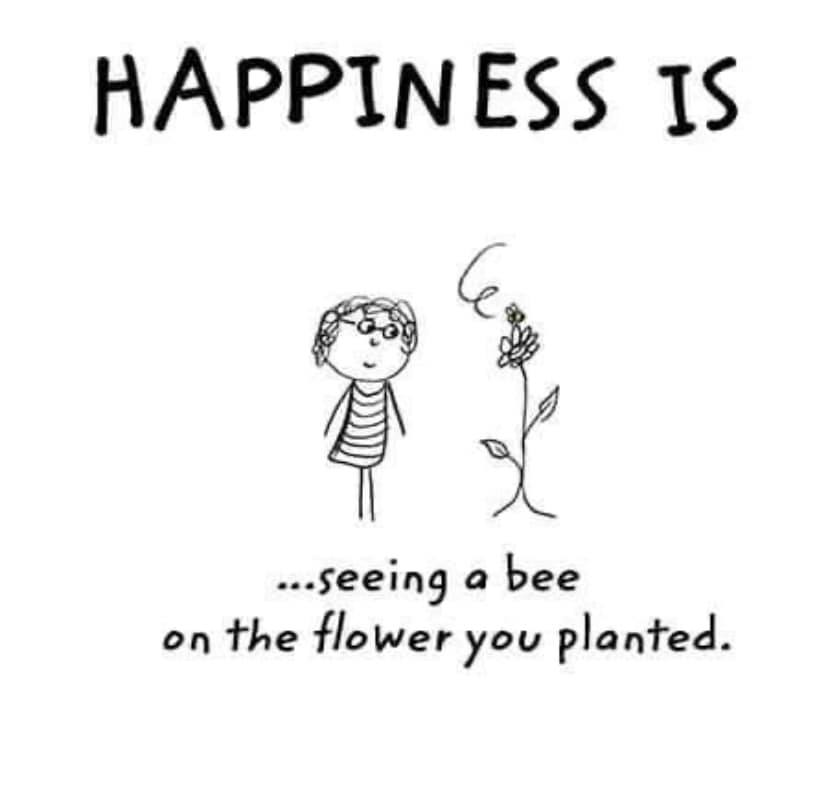 happiness is, blooming.jpg