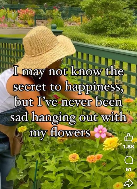 happiness.jpg