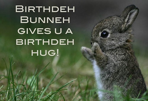 Happy-Birthday-Cute-Bunny-13.jpg