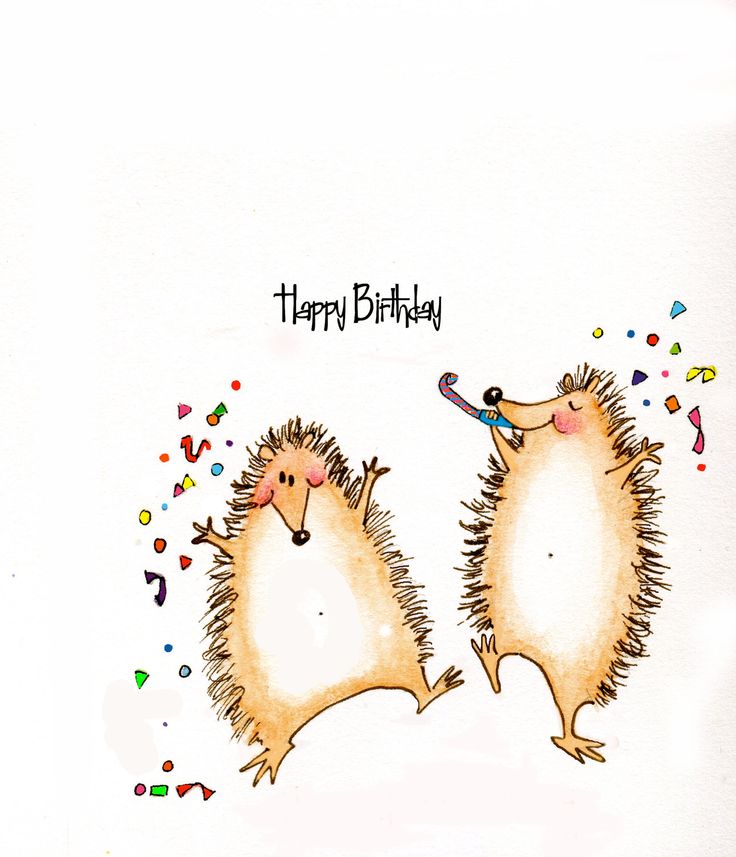 Happy Birthday Hedgies.jpg