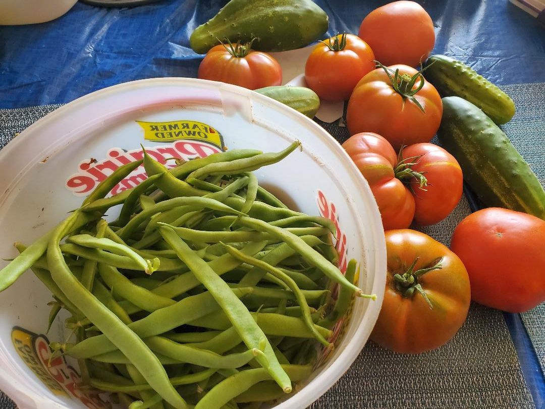 Harvest, 09-30-22.jpg