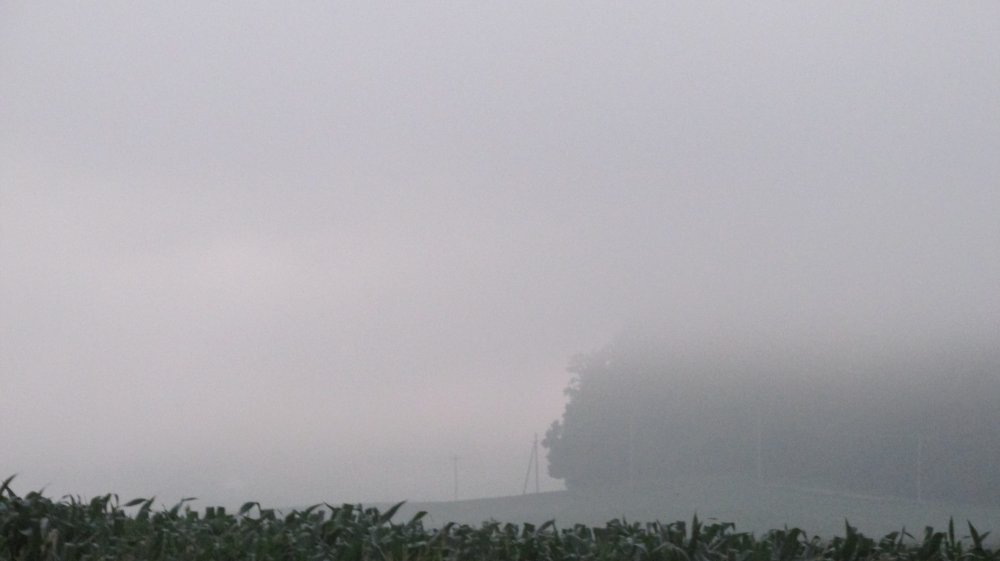 harvest 2014 010.JPG