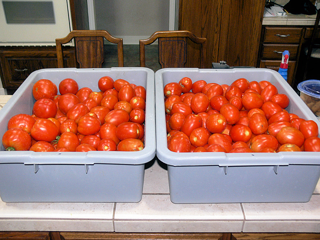 Harvest1_062217.jpg