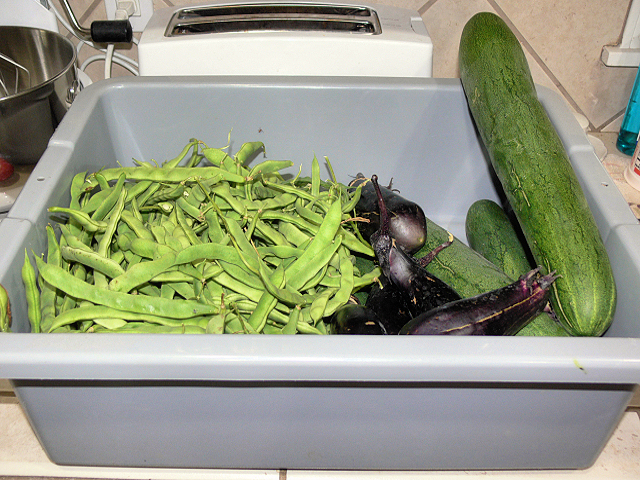 Harvest2_062217.jpg
