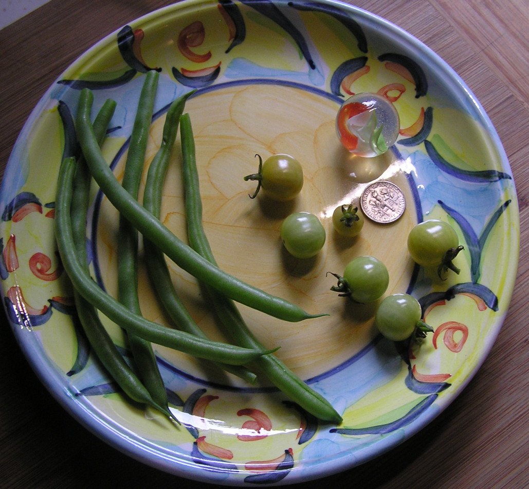 Harvest8Aug2023.JPG