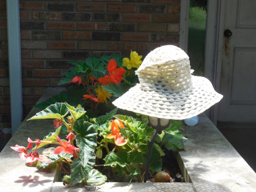 Hat alone.JPG